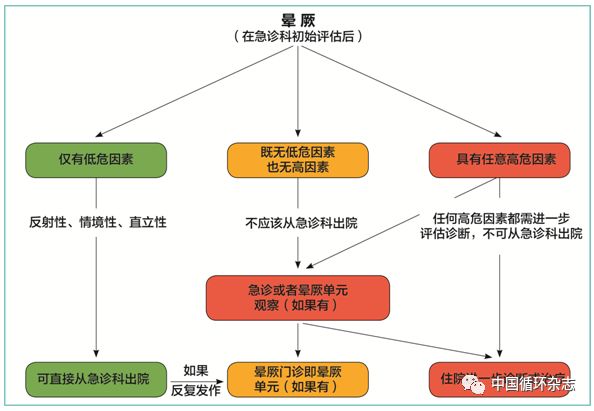 欧洲晕厥指南两大主席同台讲解2018指南：患者教育是反射性晕厥治疗基石