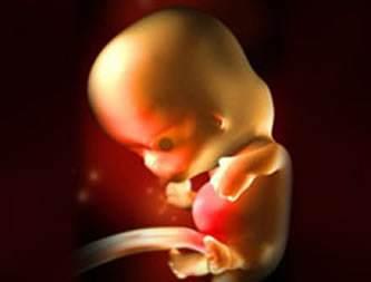 孕8周妈妈身体有什么变化,8周宝宝孕妈妈应该关注什么