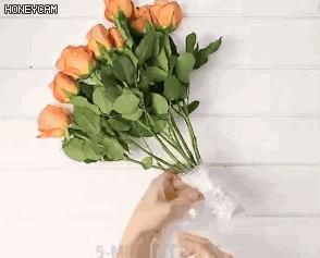 保鲜膜堵马桶,马桶堵了如何用保鲜膜