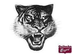 炒鞋最疯狂的时候,炒鞋之后炒鞋盒疯狂炒卖何时休