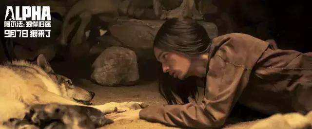 九月新片,九月上映新电影