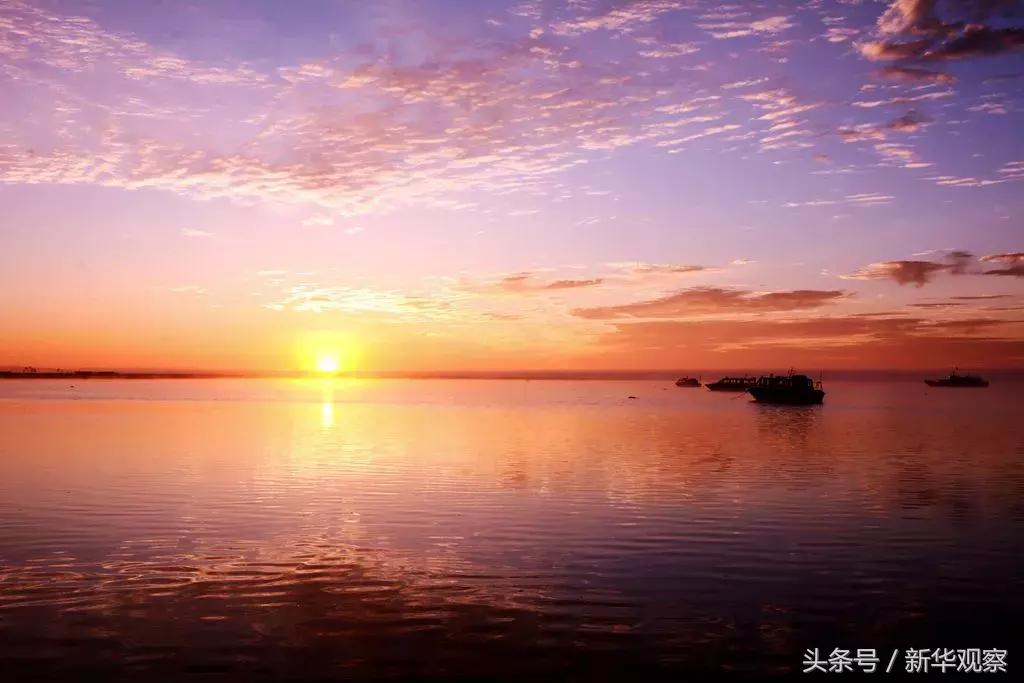 夏天大草原旅行 (夏天旅行大草原)