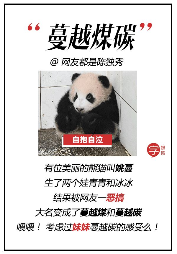 每一只可爱滚滚的背后，都有一群起名字不靠谱的人！
