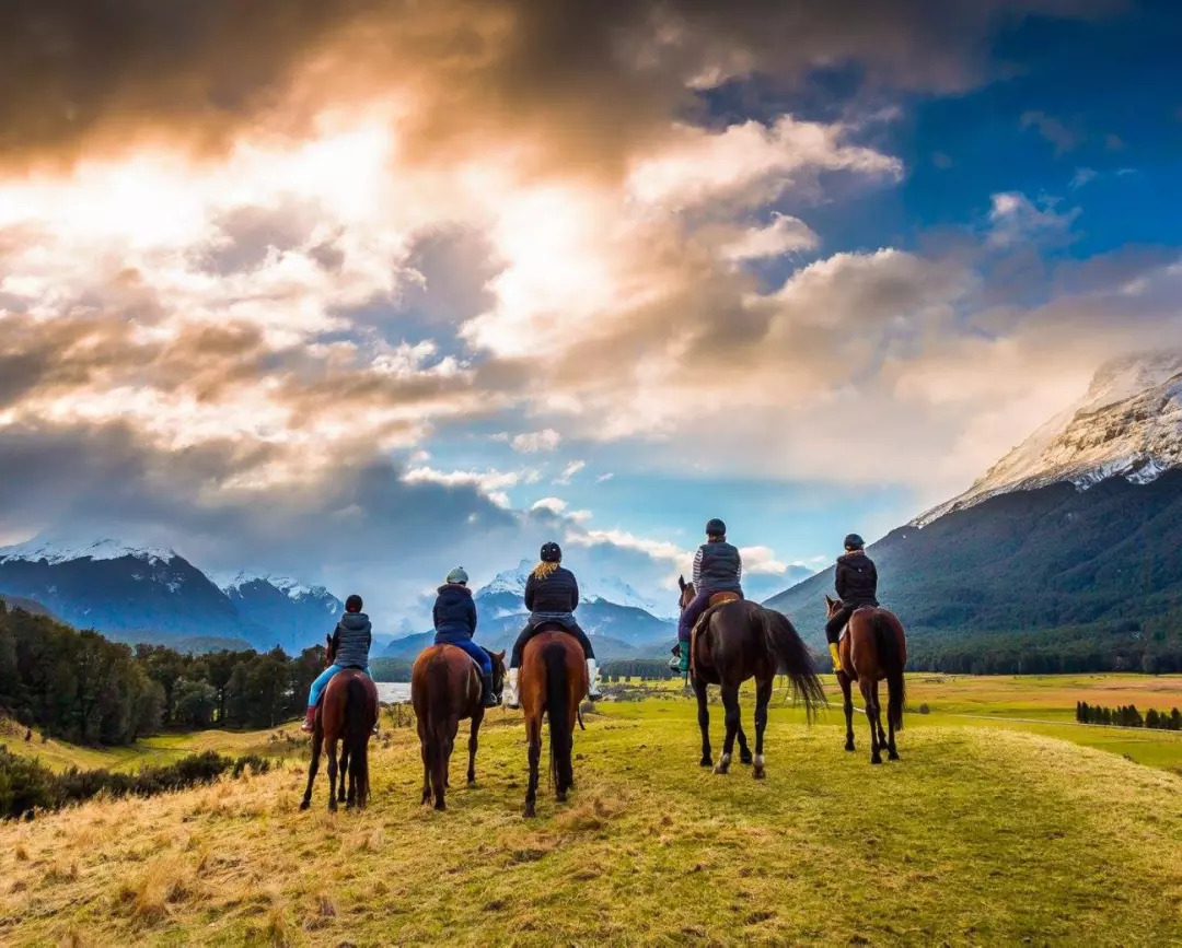 澳大利亚和新西兰旅行哪个贵,澳大利亚和新西兰怎么玩