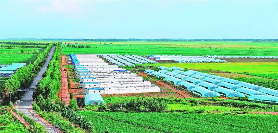 山西忻州电商助农政策,忻州农村电商计划