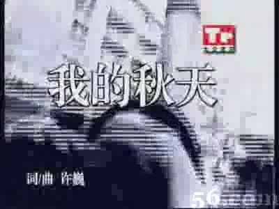 许巍最好听的十首歌曲串烧,许巍十首经典歌曲都是你