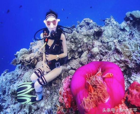 帕劳海底图片大全,帕劳海底世界旅游