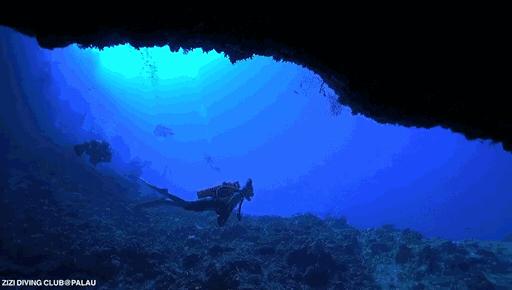 帕劳海底图片大全,帕劳海底世界旅游