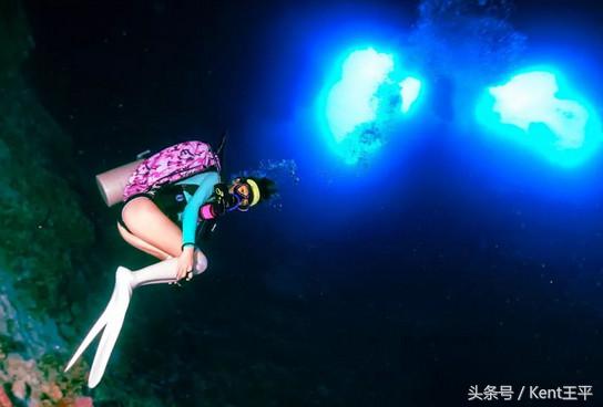 帕劳海底图片大全,帕劳海底世界旅游
