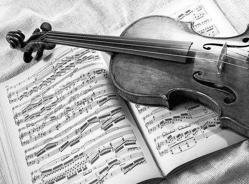 动物听到人类的声音是怎样的,动物能听到的声音和人类一样吗