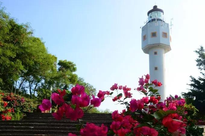 北海涠洲岛值得去的景点,涠洲岛天堂