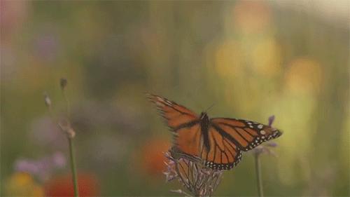 闻香识女人第六感,闻香识女人的香氛