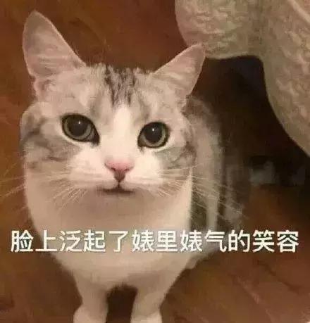 抖音爆款可以维持多久,抖音搞爆款是真的吗