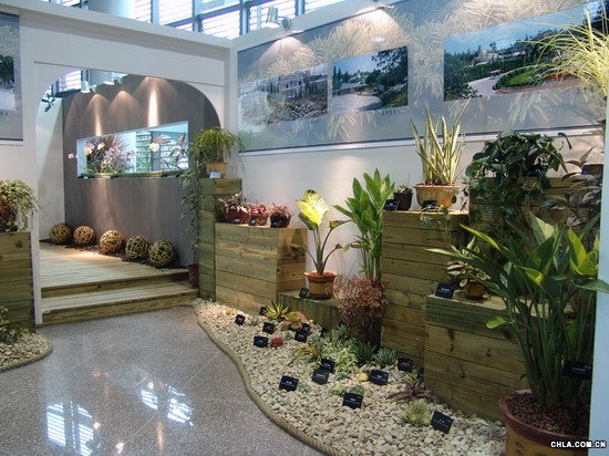 科学去除甲醛最有效的方法,科学有效的去甲醛方法