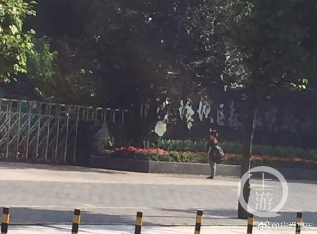 不负青春不负韶华砥砺前行,不负时光不负韶华砥砺前行