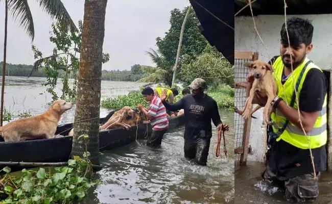 早啊新闻来了完整版视频,早啊新闻来了在哪听