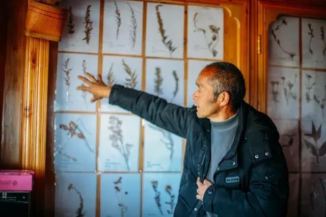 一代神医合集,一代神医完整版视频