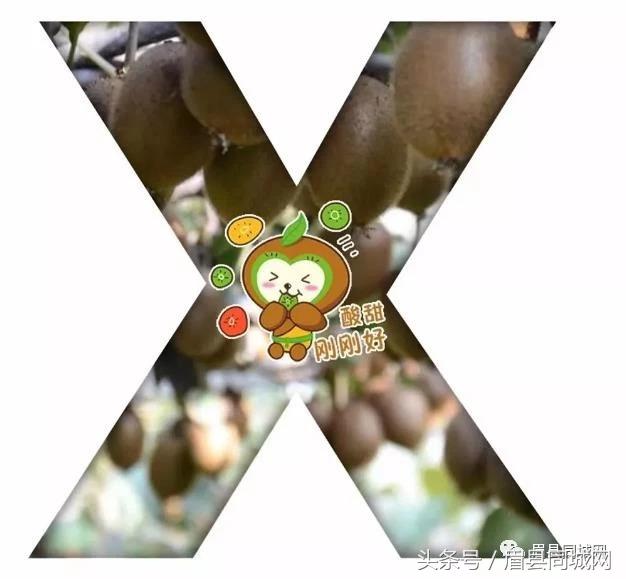 眉县猕猴桃真实故事,眉县猕猴桃最近几天能有吗