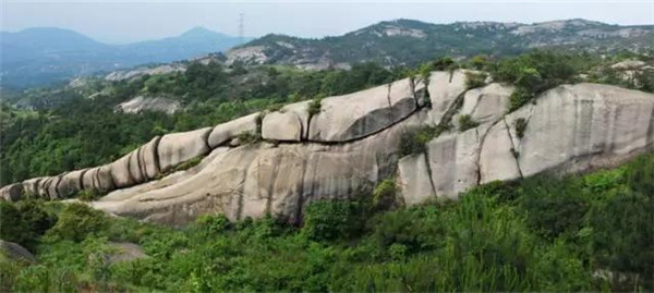 温州二日游必去的10个地方,温州免费旅游十大必去的地方
