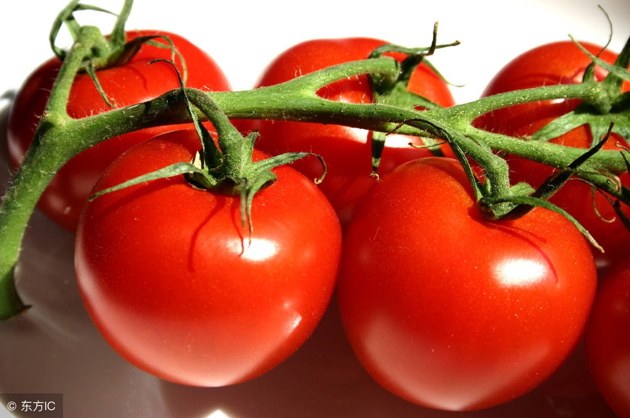 高原反应会出现哪些症状和表现,高原反应的症状原因和关注事项