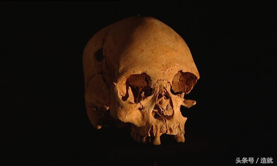 巴西博物馆大火,巴西博物馆焚毁事件