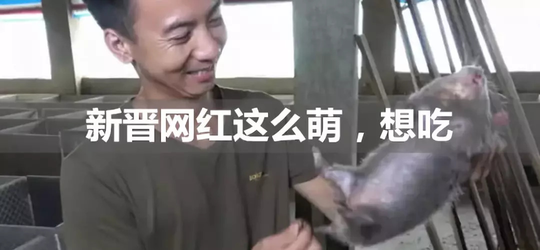 我们如何跟孩子谈钱,我们如何跟孩子相处