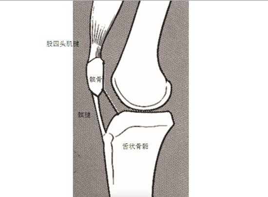 运动医学专家建议：只做适合自己的运动