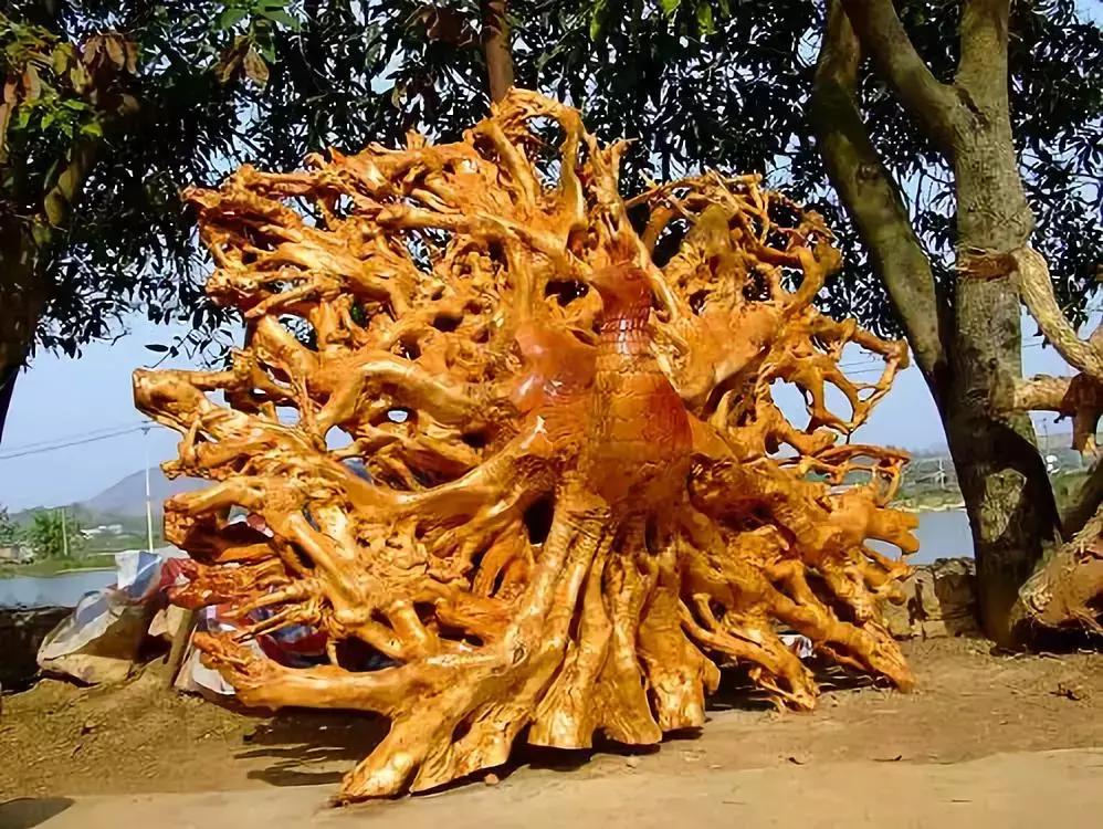 根雕大师打磨,中国最厉害的根雕大师