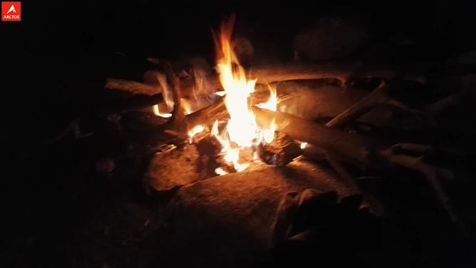 一次偶然，铸就永恒，十年驴龄的他“长存”于此-乌孙驴行记