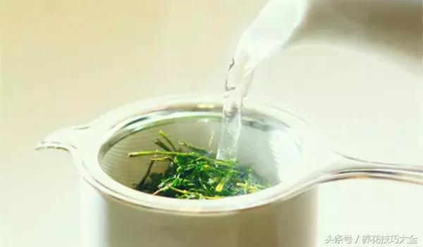 既能观赏又能药用的花草,能保健治病的植物有哪些