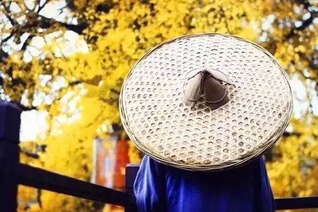 这些绝美小黄片，已经陆续在全国上线，找个时间去扫黄吧