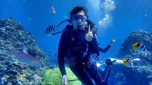 英语小白出国,英语小白出国旅游要做什么