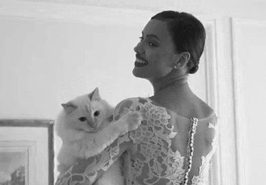 维密天使猫猫走秀,维密超模走秀猫咪