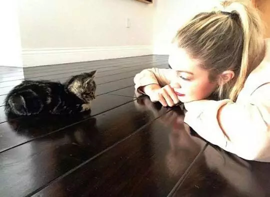 维密天使猫猫走秀,维密超模走秀猫咪