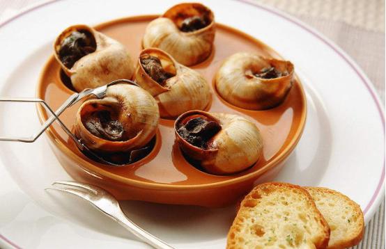 吃货必备的美食食谱,吃货美食视频法国