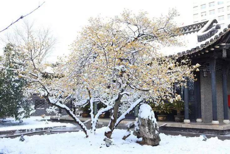 盐城以后有可能成为二线城市吗,盐城有望成为二线城市吗