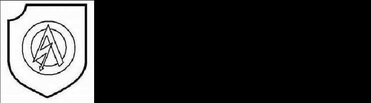 二战德国*党**卫军45个作战师的名称标志的由来以及他们之间的区别