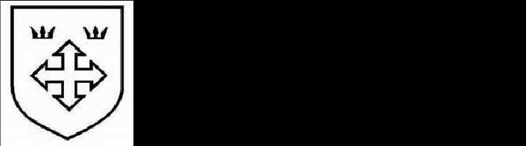 二战德国*党**卫军45个作战师的名称标志的由来以及他们之间的区别