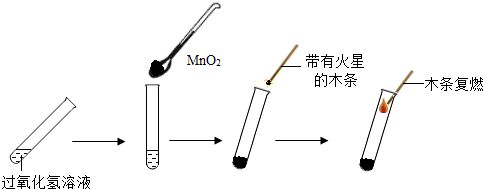 初中化学制取氧气的精彩导入,初中化学氧气制取专题练习