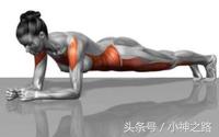 平板支撑锻炼腰部力量最好方法,支撑平板小妙招