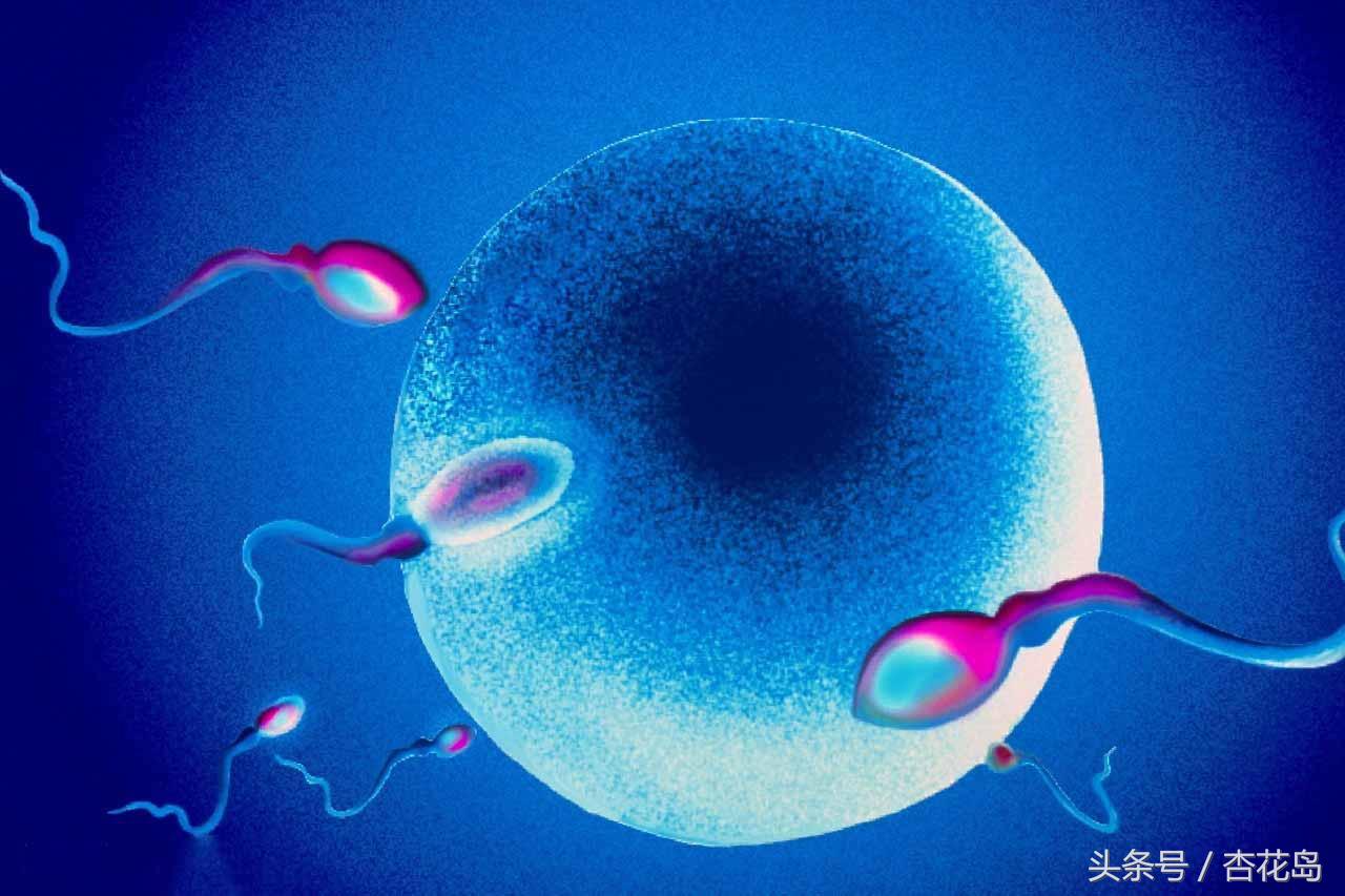 女性阴道炎会影响怀孕吗？阴道炎有哪些影响？