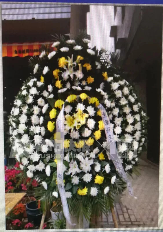 第一次借钱就被要求陪睡，催债时P黄图送花圈殡仪车上门……