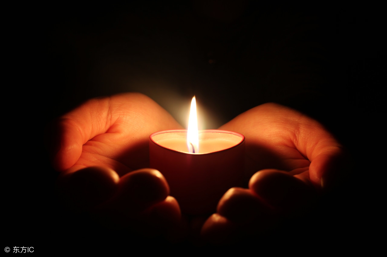 古往今来赞美教师的诗句有哪些,对老教师的赞美评价诗句