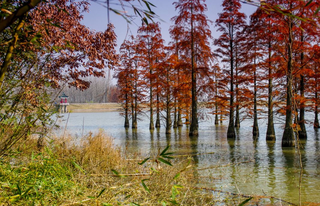 我存了256G的小黄片想和你深夜一起看