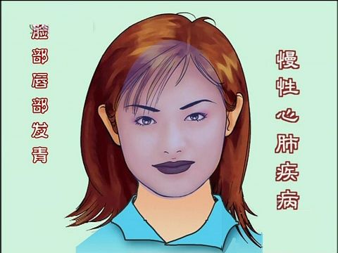 中基中诊题目,中基中诊理论知识重点