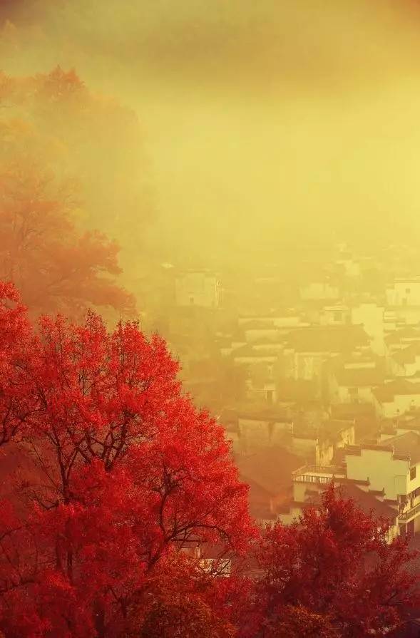 秋天的婺源什么时候去最美,秋天的婺源是色彩的天堂