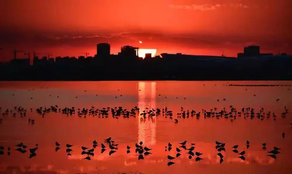 天津建筑停工最新消息,天津工地是否停工最新消息