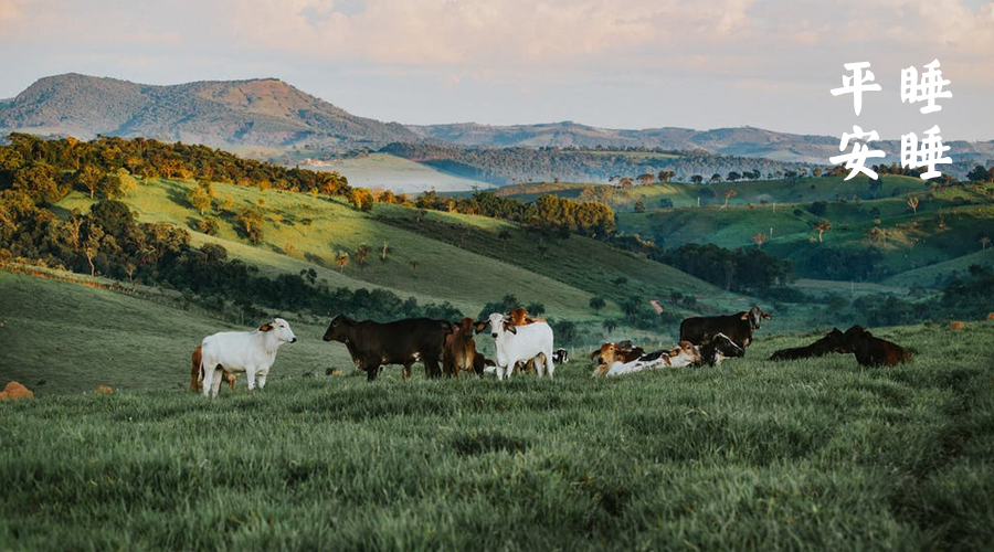 对老公犯了错的忏悔,对待犯错的男朋友
