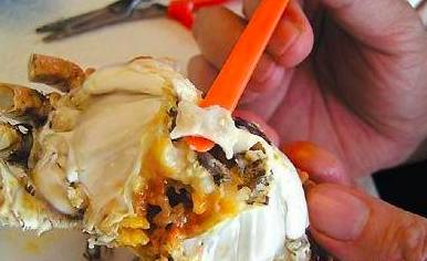 「健康」你真的会吃螃蟹？这四个部位万万不能吃！