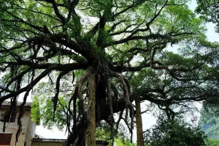 深圳出发高铁可达的古镇,深圳高铁直达的旅游景点